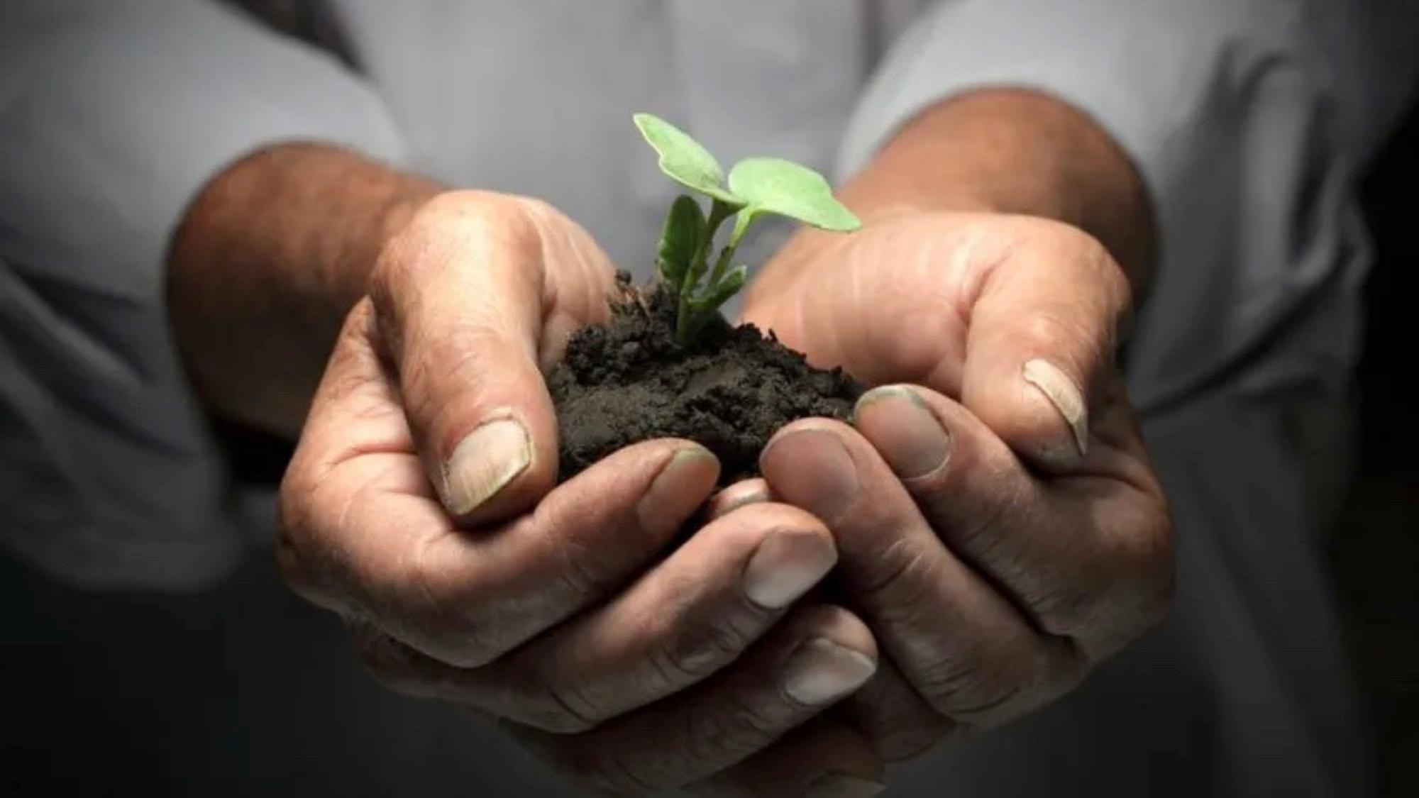 9 Things You MUST Do Today to Grow Your Small Business